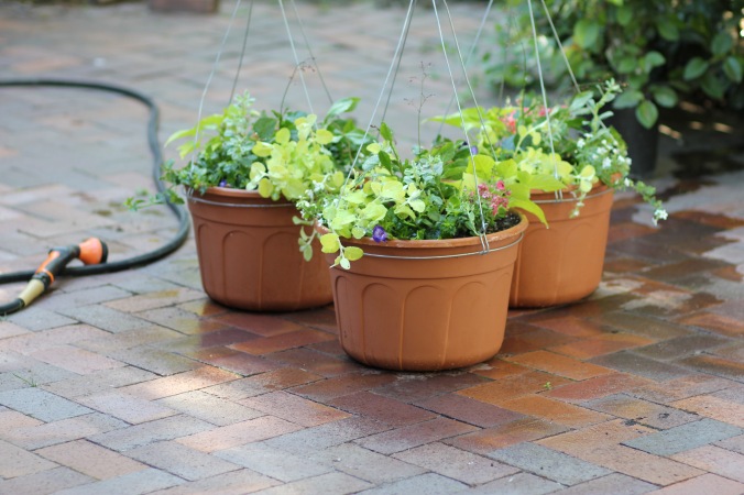 3 Tips for the Perfect Summer Planters